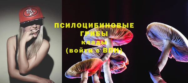 дмт Горняк