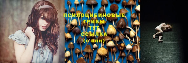 мдма Горнозаводск