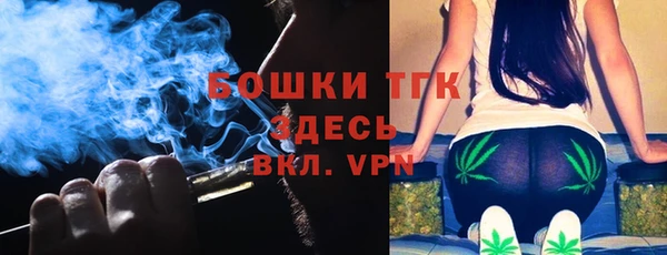 дмт Горняк